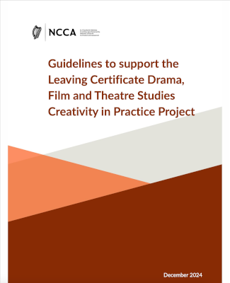 December 2024Guidelines to support the AAC Creativity in Practice Project